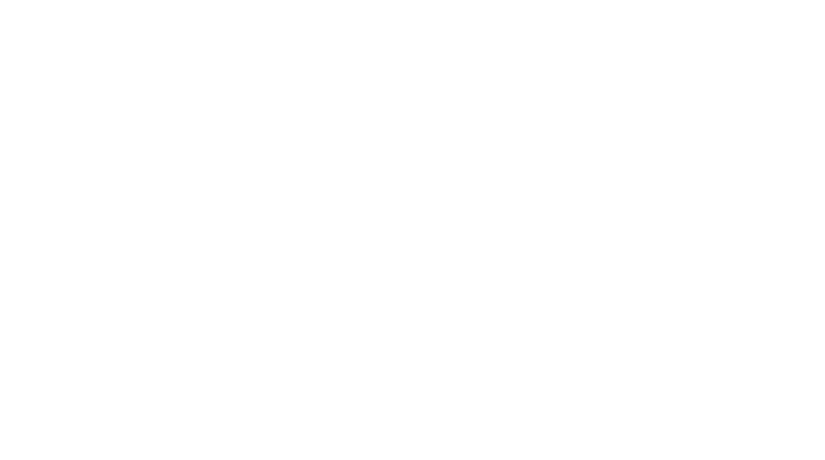 Michael-Schmidt logo